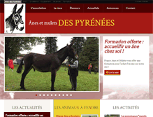 Tablet Screenshot of anespyrenees.fr